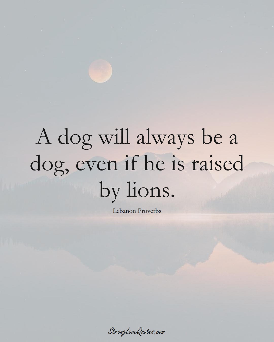 A dog will always be a dog, even if he is raised by lions. (Lebanon Sayings);  #MiddleEasternSayings