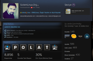 SistemLinux Steam