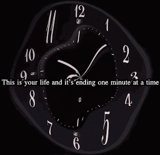 lampe uv tortue d'eau combien de temps