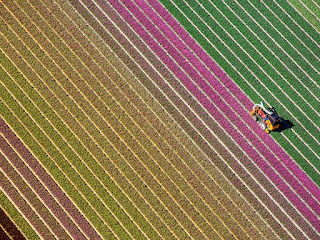 مناظر فصل الربيع