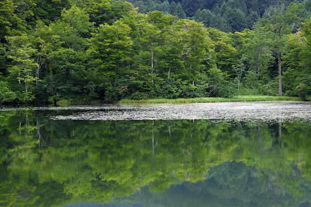 #photo #landscape #sigma #foveon #sdquattroh #japan #yamagata #nishikawa #写真 #風景写真 #山形帝國 #山形県 #西川町