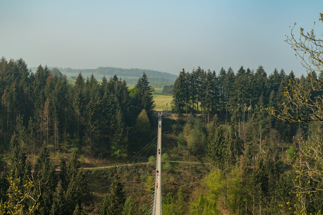 Saar-Hunsrück-Steig Etappe 20 Von Mörsdorf nach Kastellaun  Hängebrücke Geierlay Wandern im Hunsrück Traumschleifen-Hunsrück 03