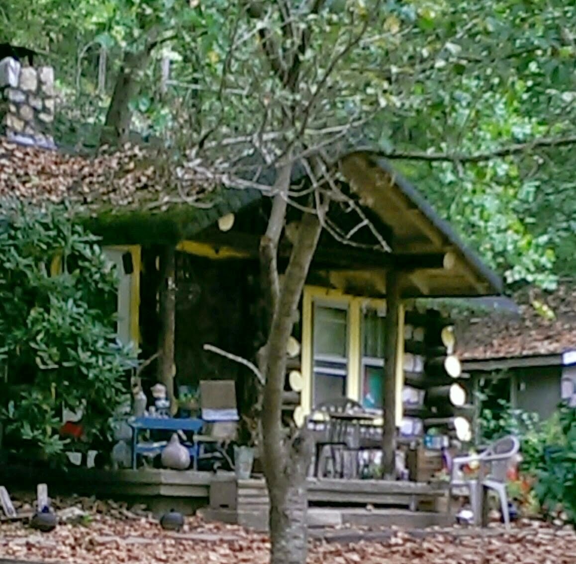 French Broad River Campground Flyin' the Coop