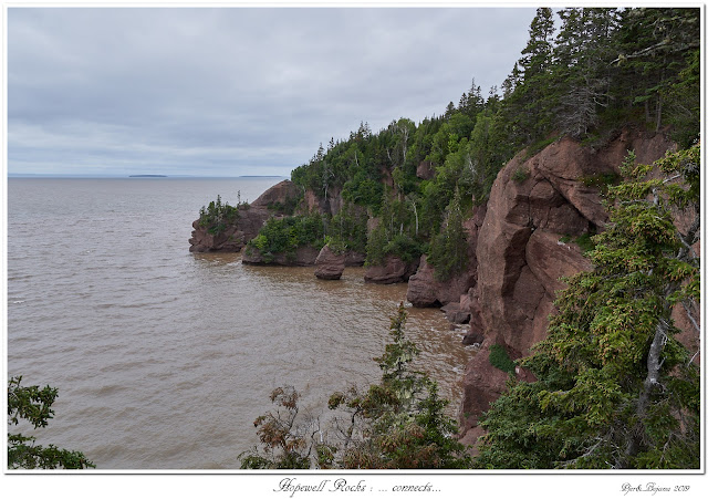 Hopewell Rocks: ... connects... 