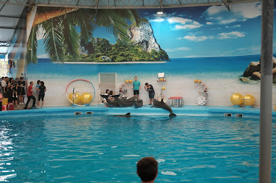 Saksikan Aksi Dolphine Di Dolphinarium Nemo, Phuket Thailand
