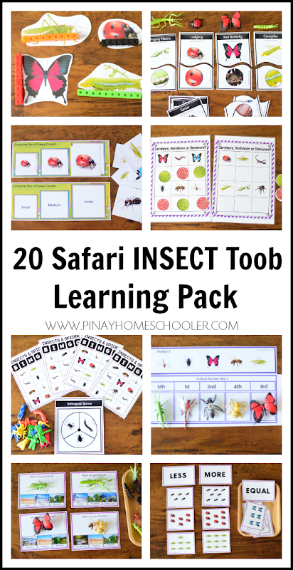 Insect Theme Toob Printable Learning Materials