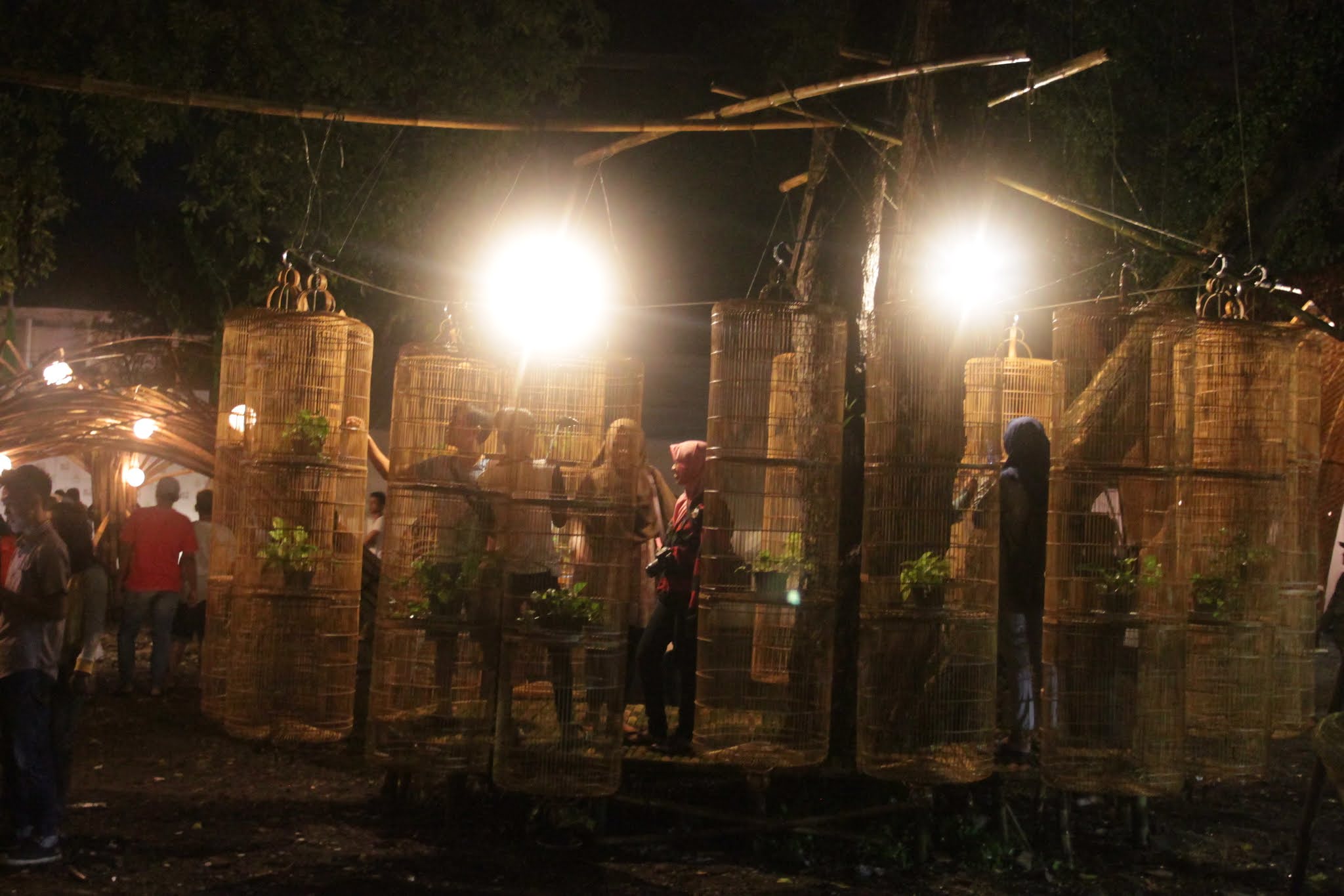 Jenise Wit Witan Dalam Basa Jawa Intanpari Com