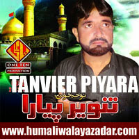 http://ishqehaider.blogspot.com/2013/11/tanvier-piyare-nohay-2014.html