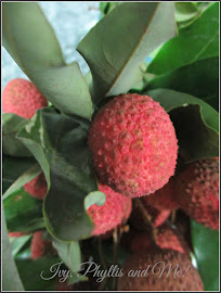 THE INDIAN LYCHEE