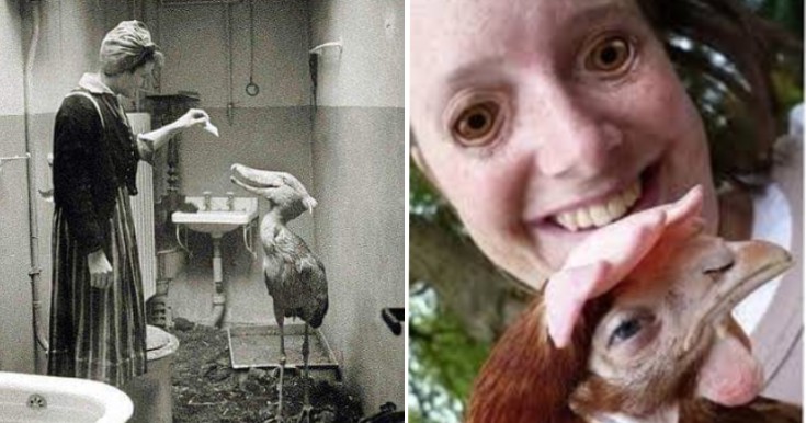 15 Oddly Terrifying Things From The Internet 15 Oddly Terrifying Things From The Internet
