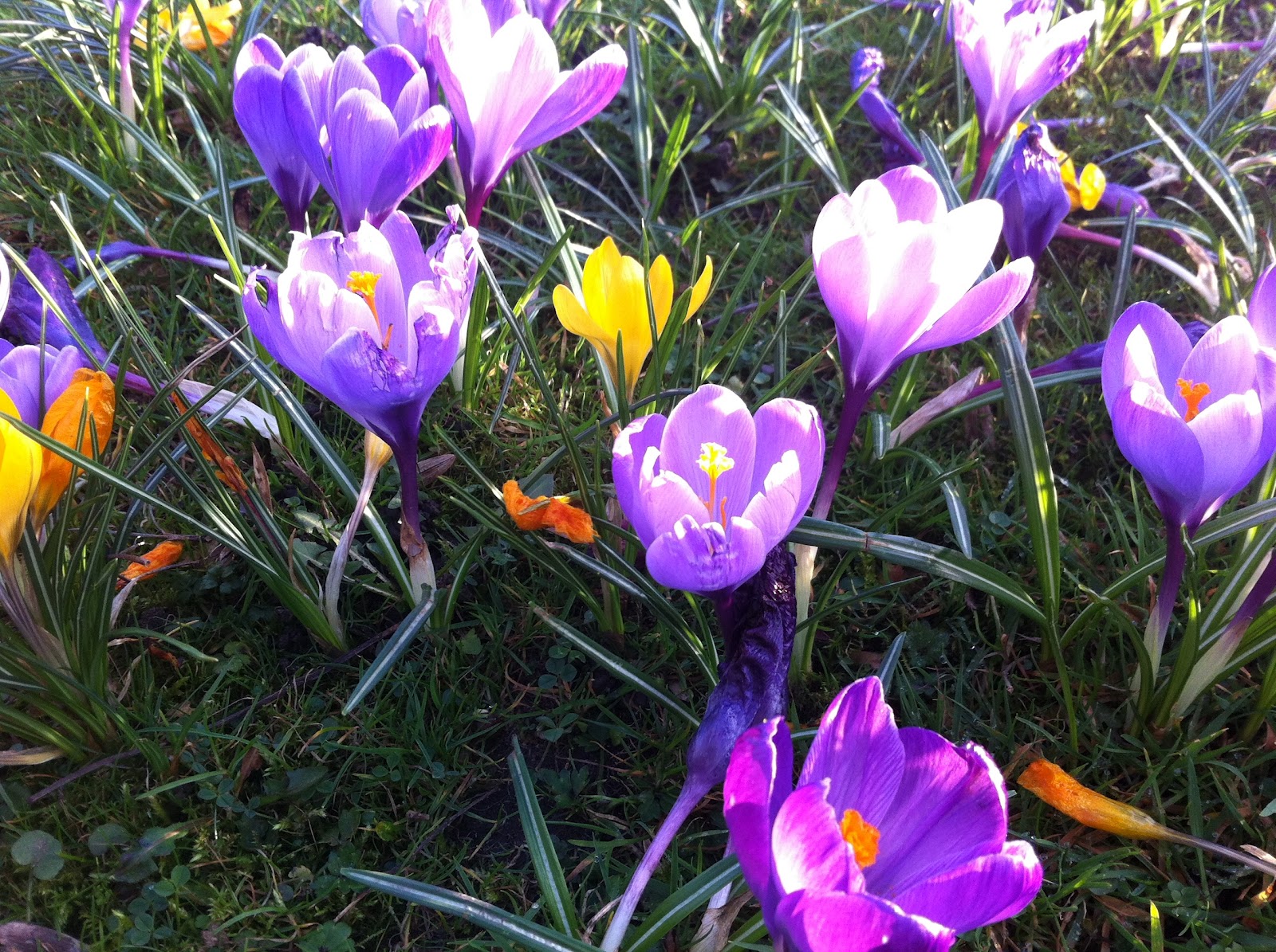 Words From A Room Media Vita in Morte Sumus