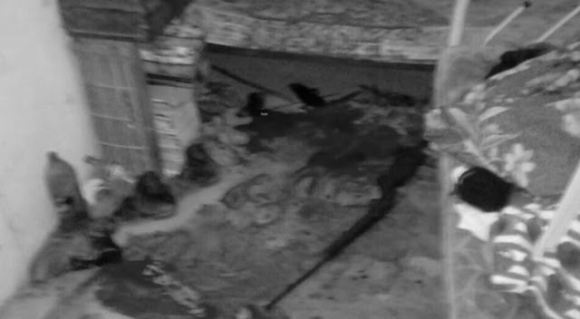 Várzea Nova: Jovem é transferido para Feira de Santana após tentativa de suicídio  