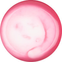 A circular jelly with a red rim with a white middle on a bright background 