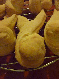pan conigli