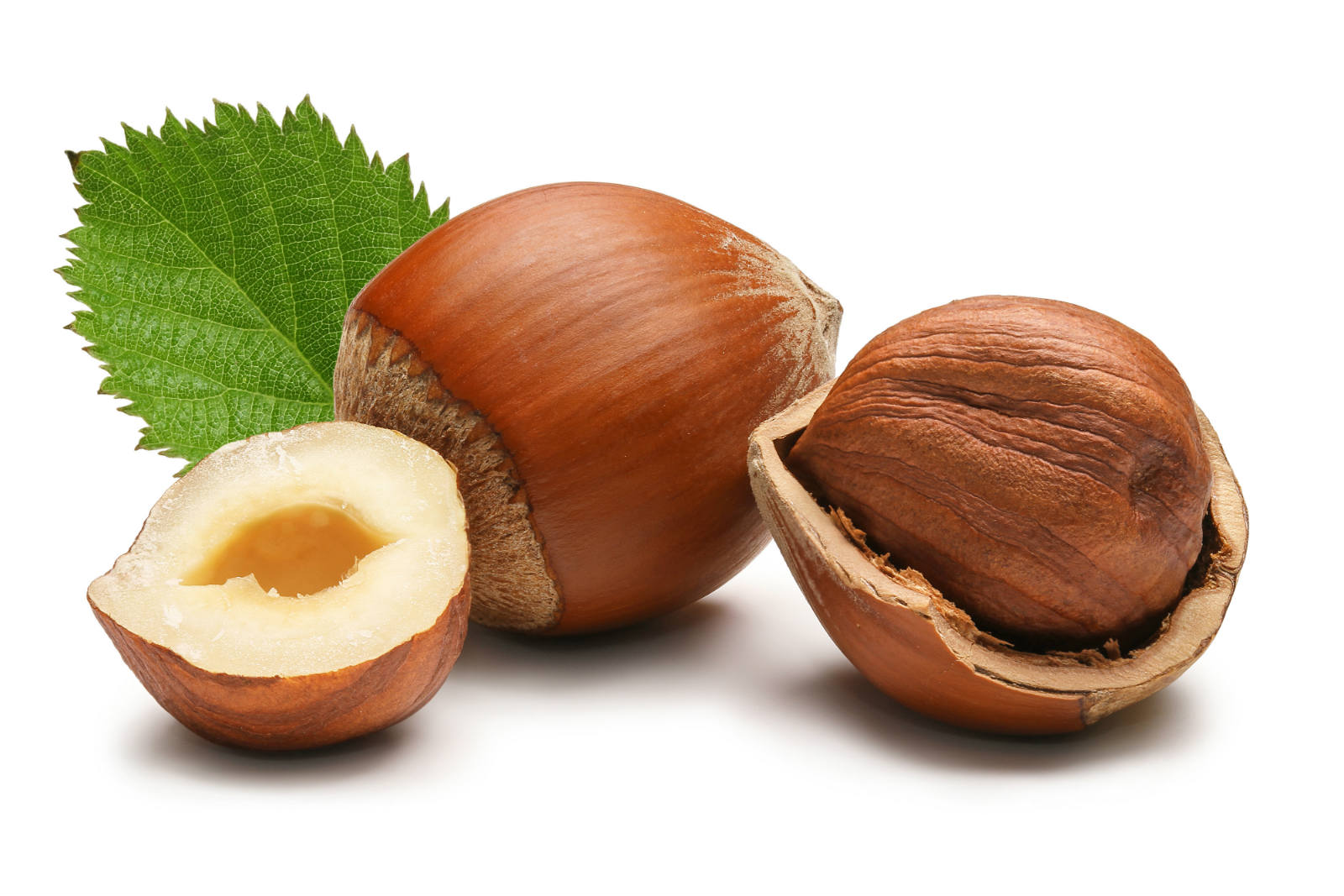 HEALTH BENEFITS OF EATING HAZELNUTS
