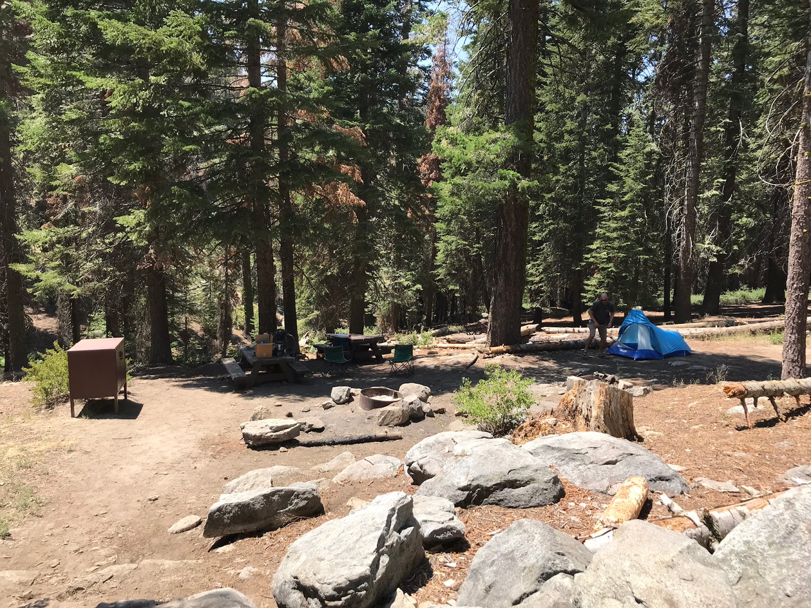 Lost In The Los Padres Maggie Lakes