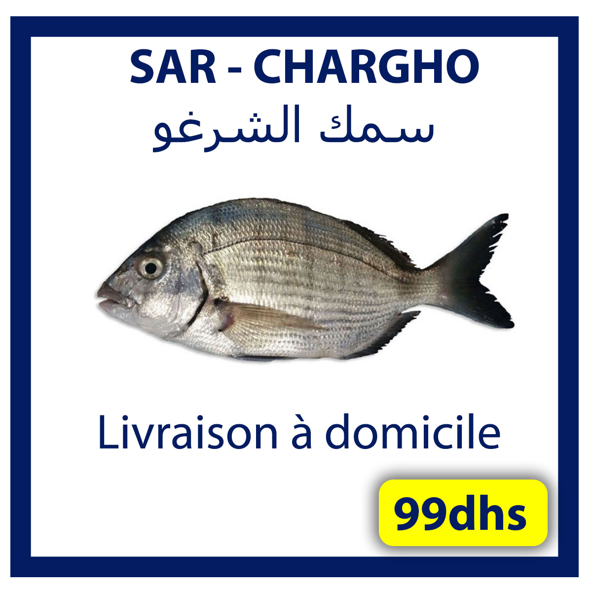 livraison poisson frais casablanca - Boutique de vente et achat en livraison poisson frais casablanca - Boutique de vente et achat en