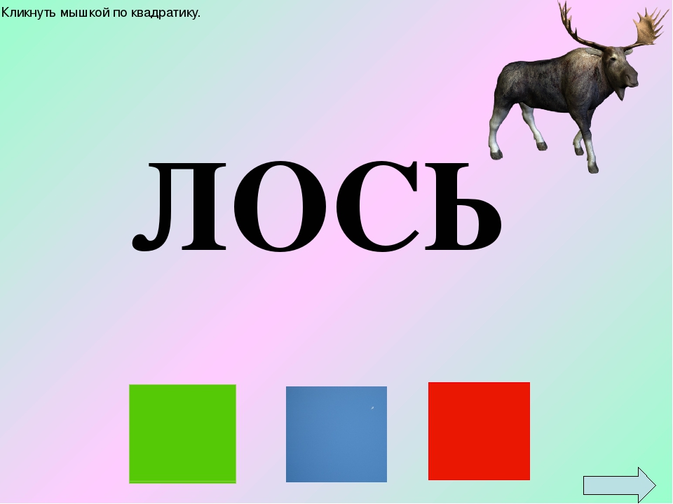 сколько букв и звуков в слове лось. составь схему слов лось. звуковая схема слова лось. анализ слова лось. сколько слов лось.