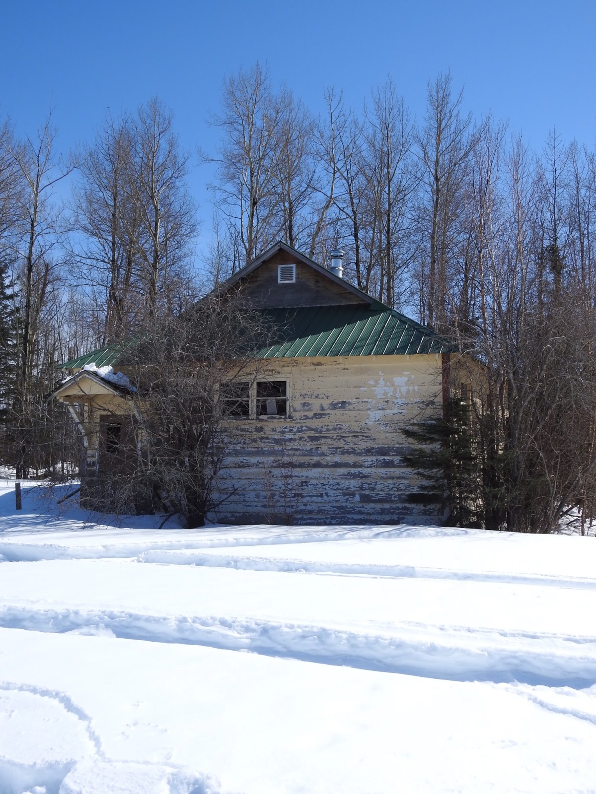 The view from here Foley Timber School