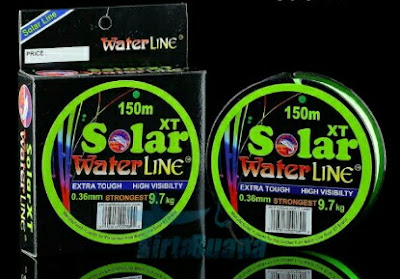 Golden Fish Waterline Solar