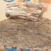 Virtutile lemnului fosilizat