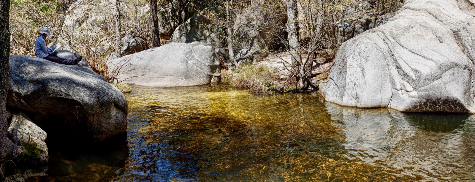 Earthline The American West Lemmon Pools and Marshall Peak, Northwest