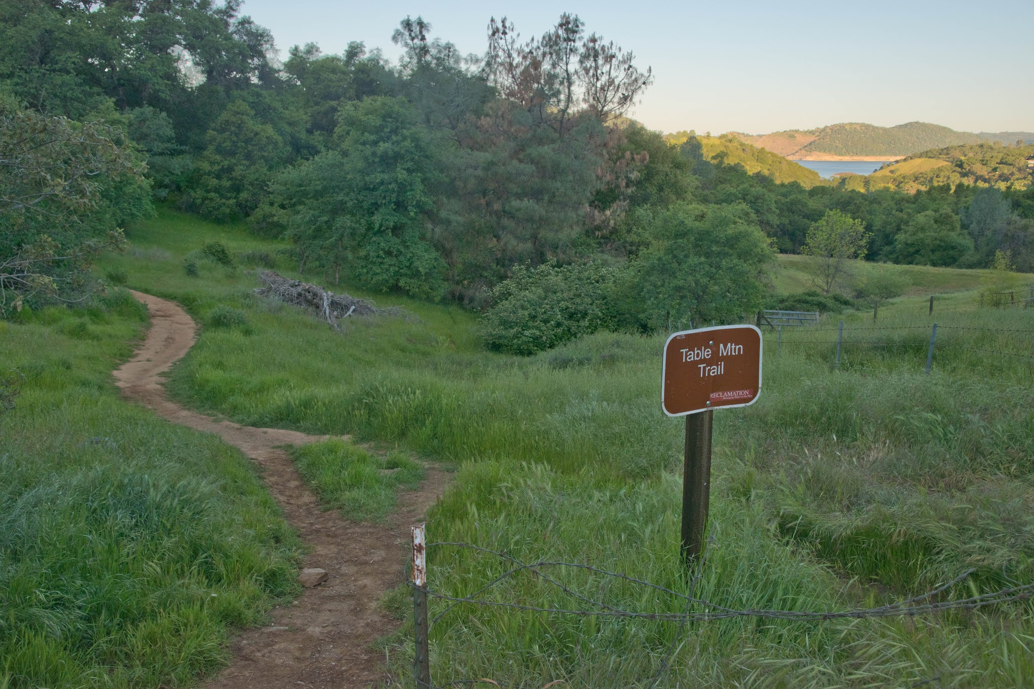 Hiking Shenandoah Table Mountain (Jamestown, CA)