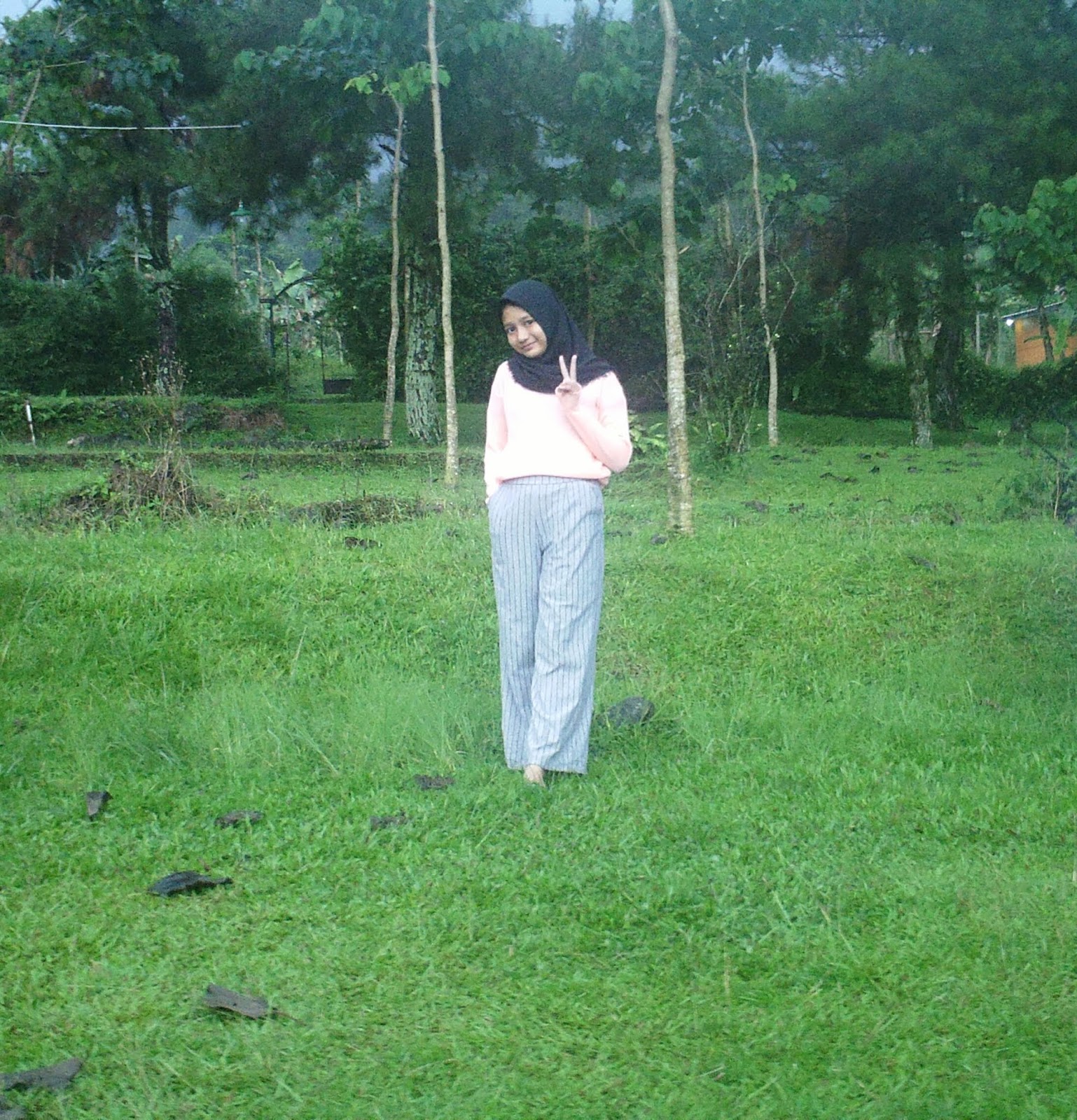 Shaafa English Project shaafa-english-project