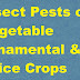 Insect Pests of Vegetable Ornamental and Spice Crops ICAR E course Free PDF Book Download e krishi shiksha
