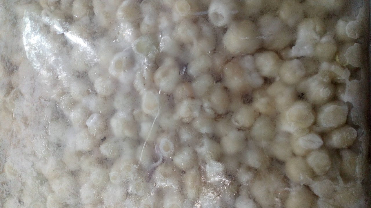 Các món ngon với răng mực Cac mon ngon voi rang muc