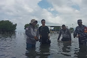 Jaga Kelestarian Laut, 500 Bibit Mangrove Ditanam di Gili Petagan
