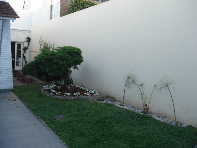 Reverdir **JARDINERIA Y PAISAJISMO**: GARAGE convertido en JARDÍN