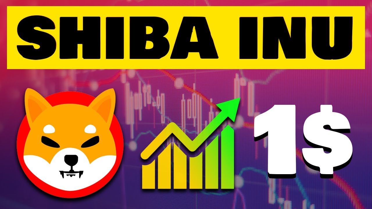 1 shiba inu coin price in india