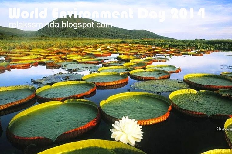 Latar Belakang Puncak Alam / Latar belakang ditutup dengan kalimat