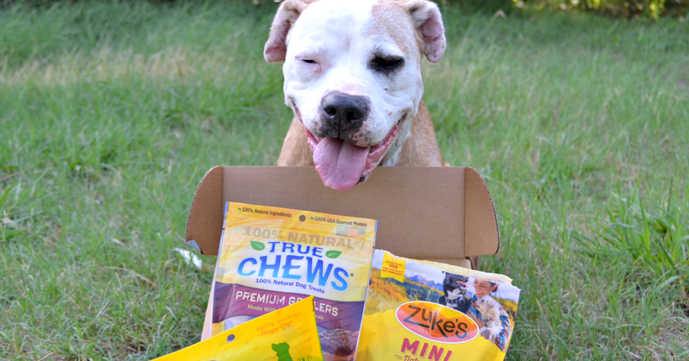 Goody Box Made in the USA for Dogs by ChewyInfluencer