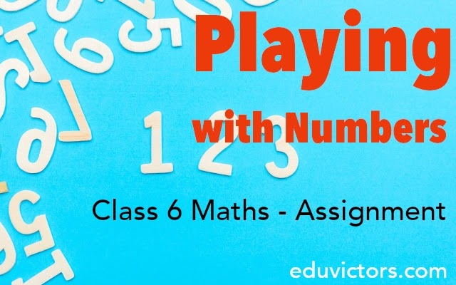 cbse-papers-questions-answers-mcq-class-6-maths-playing