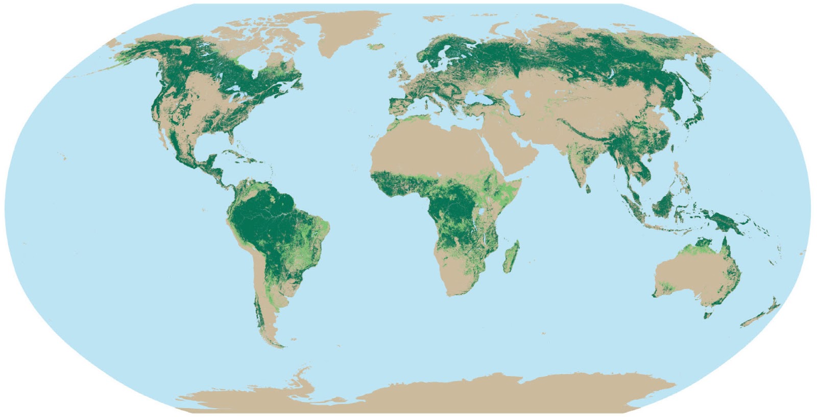 В каких странах есть леса