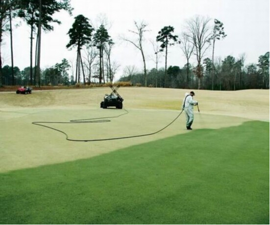 Artificial Turf from Sensseturf : Did Artificial Grass for Football