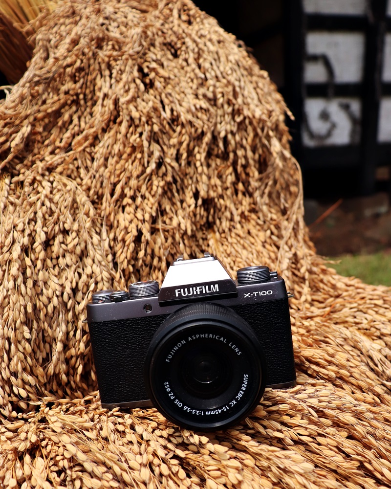 Fujifilm xt1 примеры фото Review: Fujifilm X-Pro 2 Page 4 of 4 Admiring Light