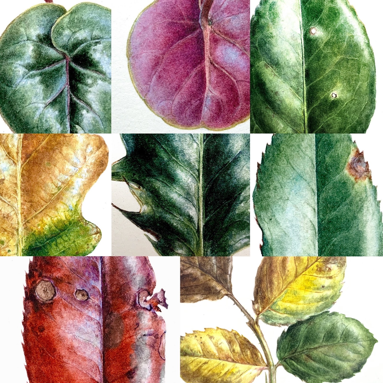 Dianne Sutherland Leaf Challenge Regular Painting Is Good For