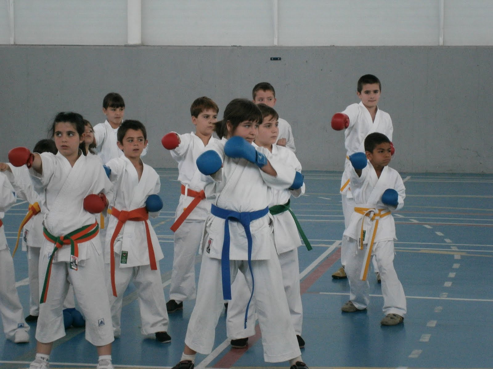 FOTOS VIII CURSO DE KARATE CON VICTOR ALVARADO