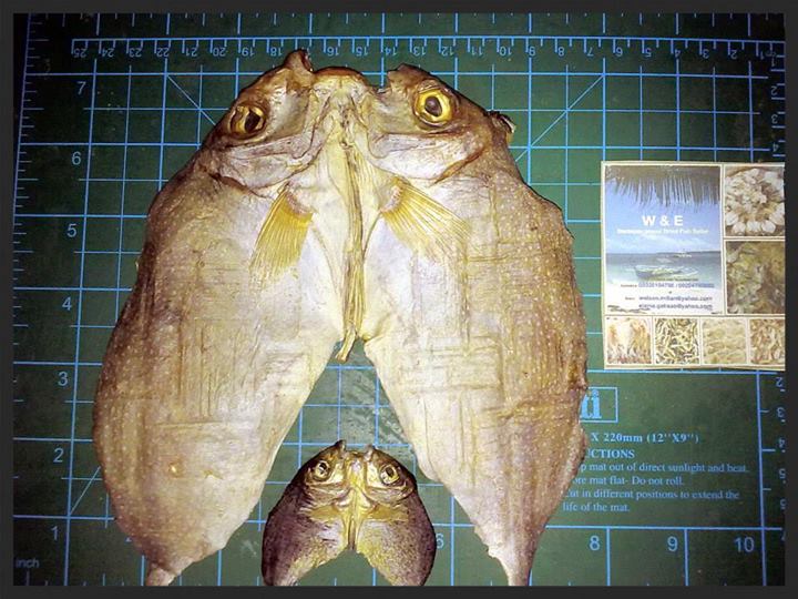 Popular Manila Where to Buy Dried Fish in the Philippines?