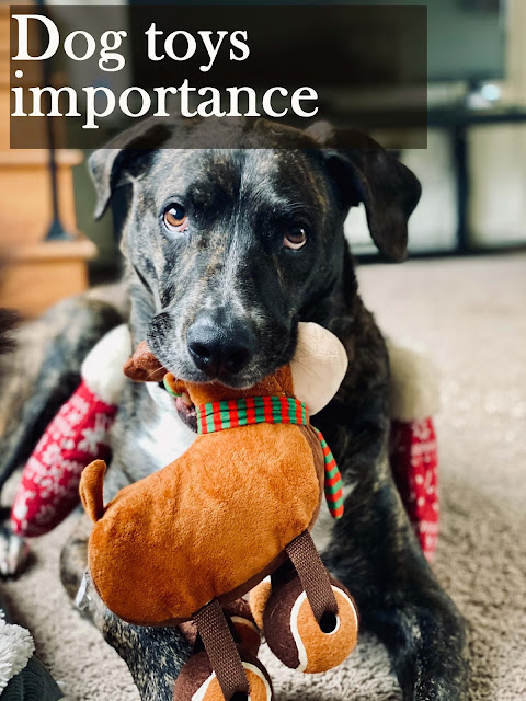 Dog toys importance and role in dog development Dog toys importance and role in dog development