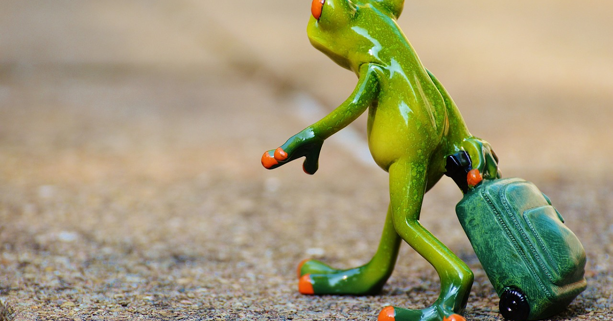 新幹線とレンタカーで高野山・伊勢神宮へ行こういいな。日本の旅