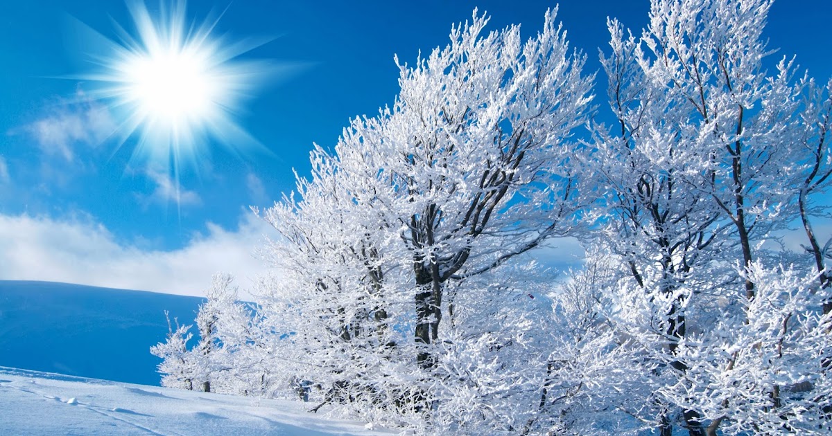 Paisaje Blanco - Nieve blanca - Fondos de Pantalla HD - Wallpapers HD