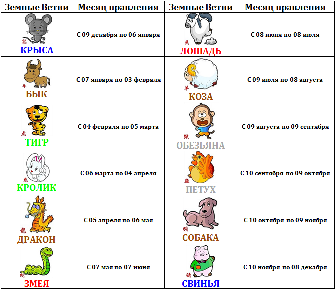 крыса кролик в бацзы отвлекающее животное. месяцев между. режим сна и бодрствования ребенка в 9 месяцев.