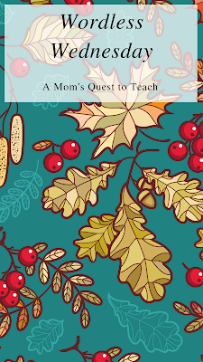 Text: Wordless Wednesday; A Mom's Quest to Teach; background of leaves