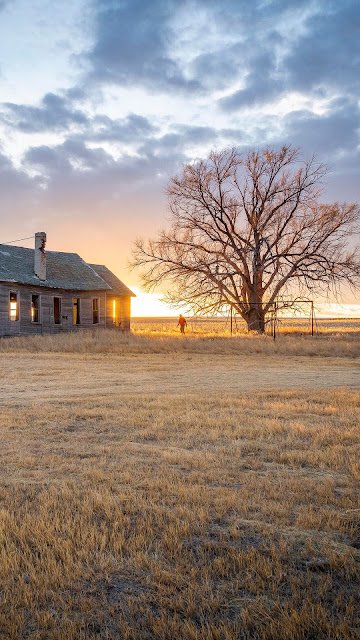 HD Wallpaper Lonely Man, House, Field, Sunset