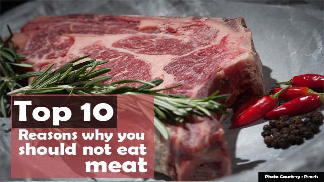 (Top) 10 Reasons You Should Not Eat Meat