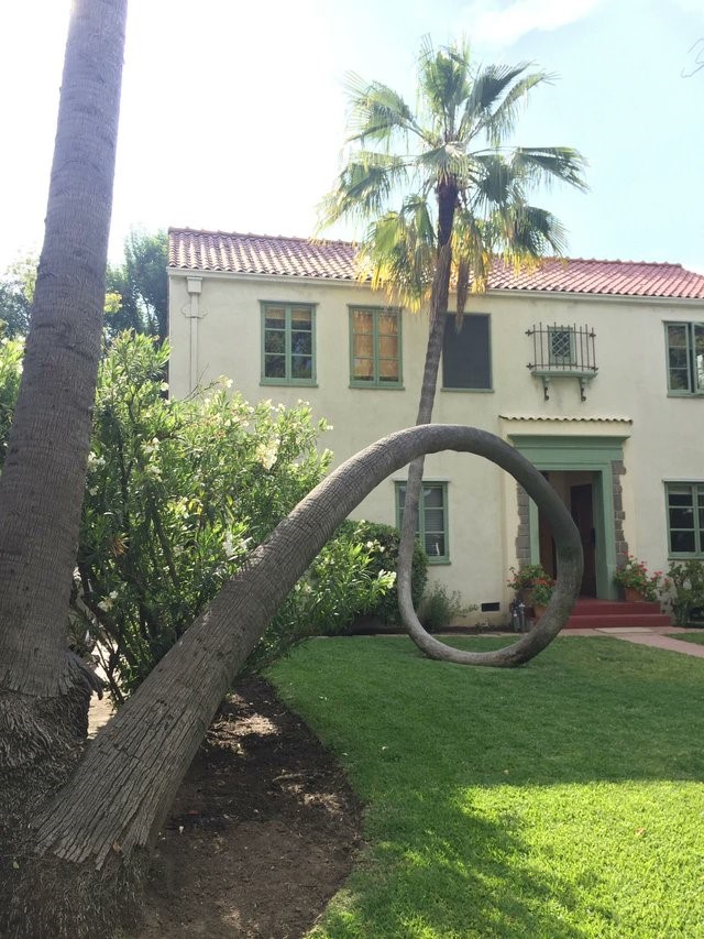 Inspire to Innovate Storytelling Movement *Don’t Quit! Palm Tree Fell